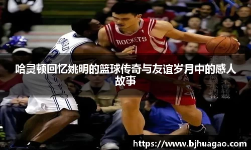 哈灵顿回忆姚明的篮球传奇与友谊岁月中的感人故事